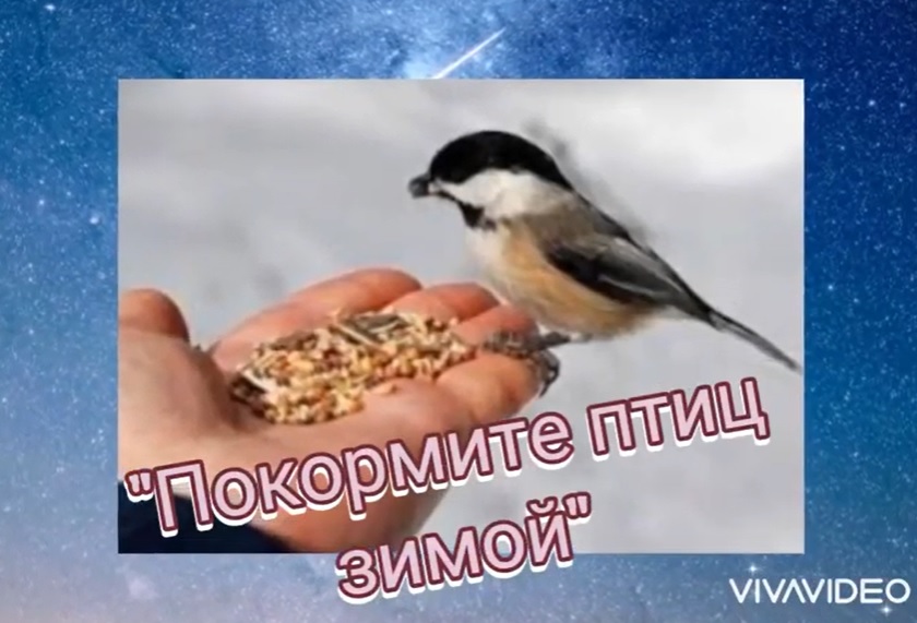 Поздравляем победителей экологической акции "Покормите птиц зимой!"